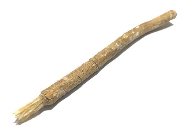 Siwak : votre solution naturelle pour une meilleure hygiène dentaire